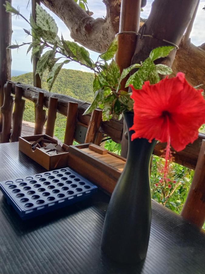 Tree House Bungalows Koh Tao Exterior photo
