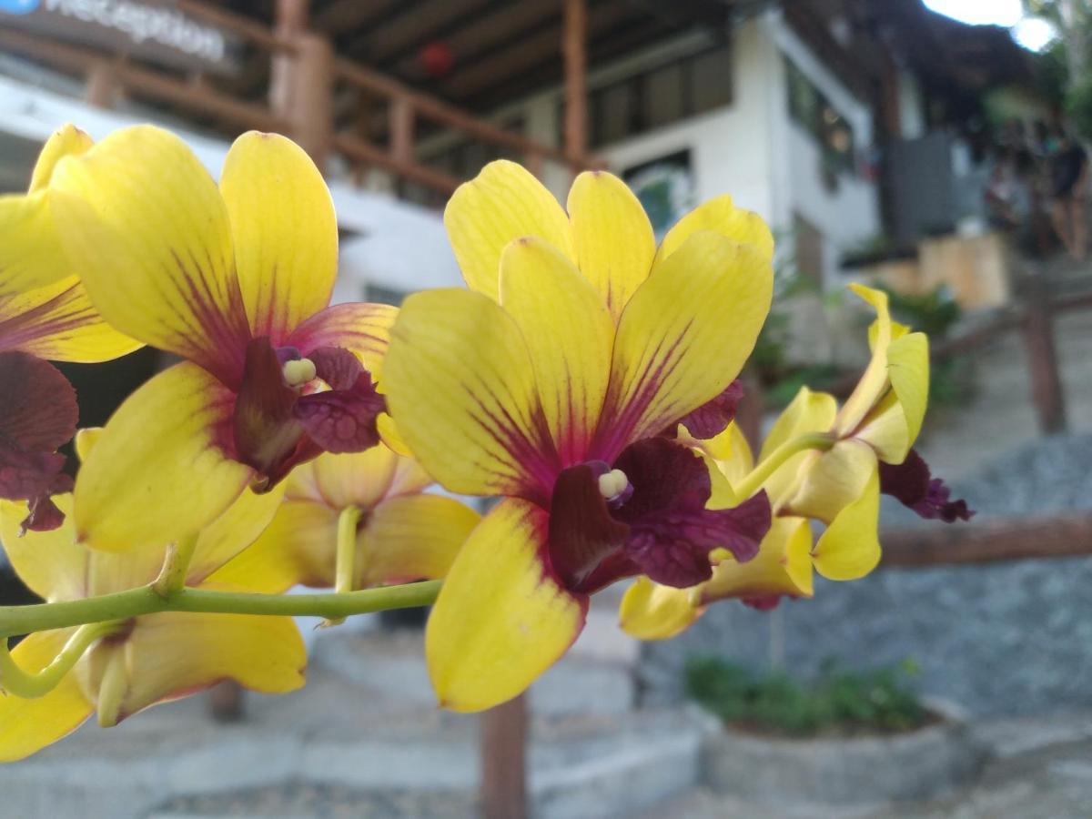 Tree House Bungalows Koh Tao Exterior photo
