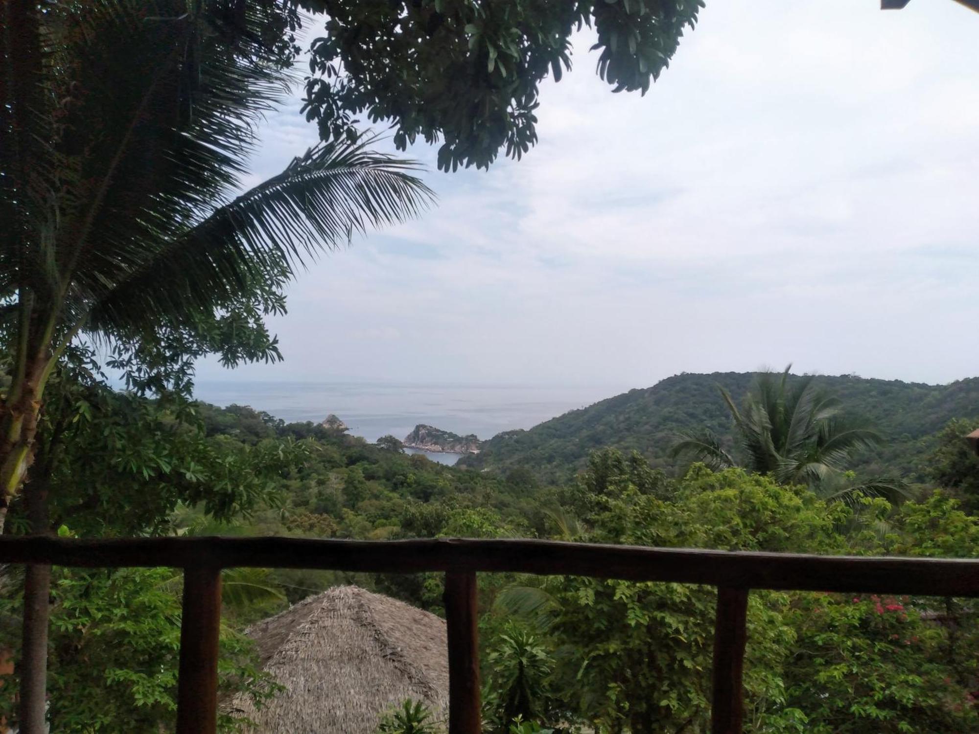 Tree House Bungalows Koh Tao Exterior photo